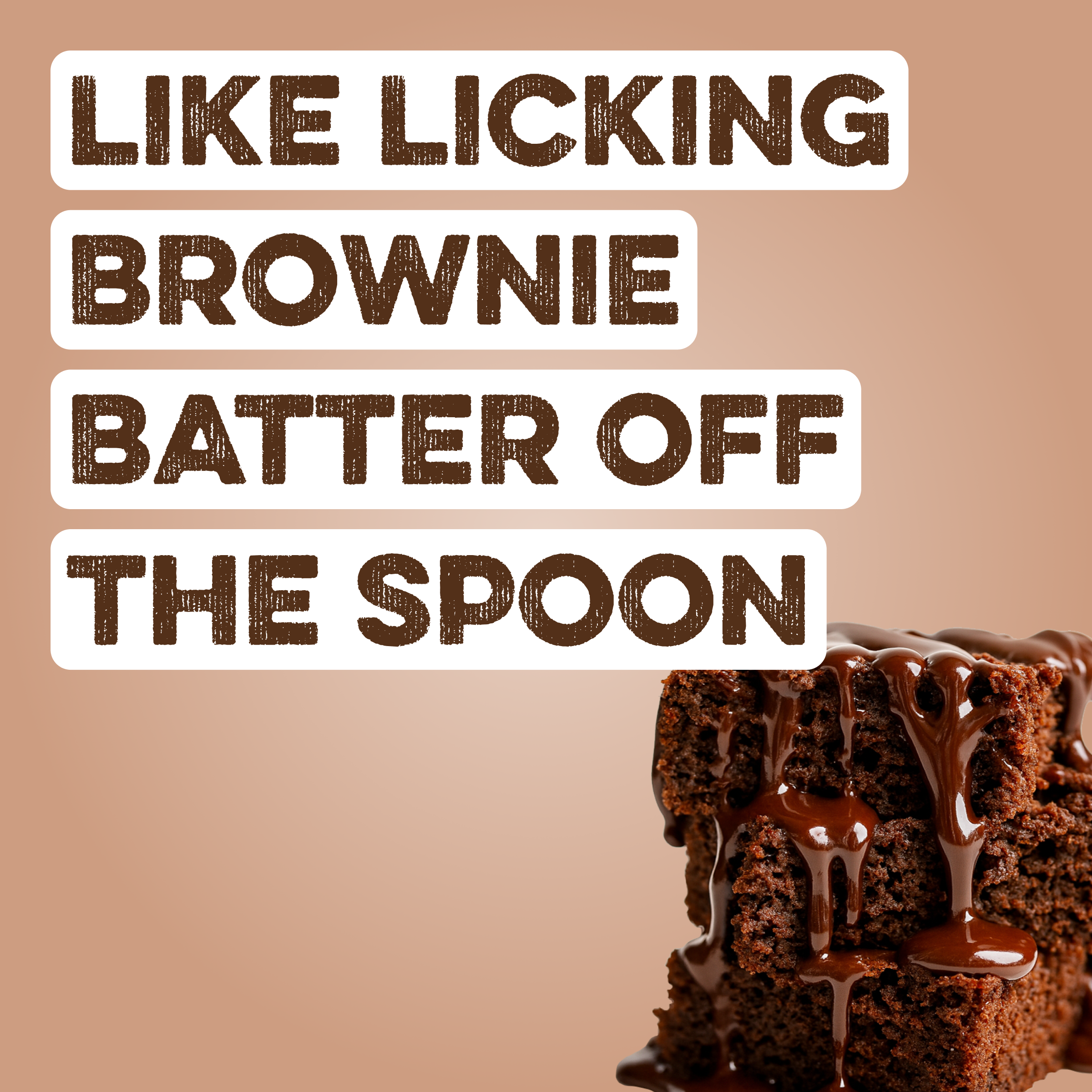 Protein Powder: Brownie Batter (10 Single Serving Stick Packs)