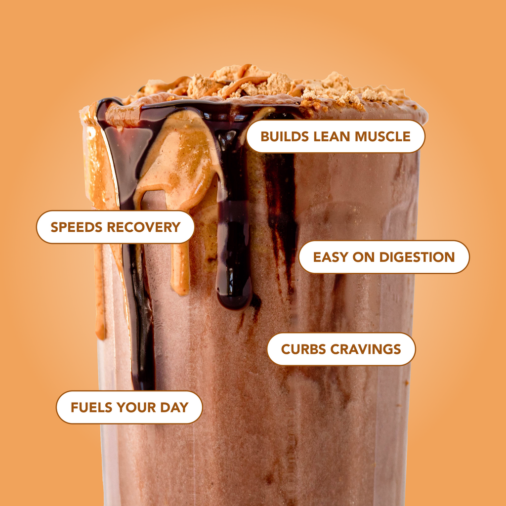 Protein Powder: Chocolate Peanut Butter (10 Serving Bag)