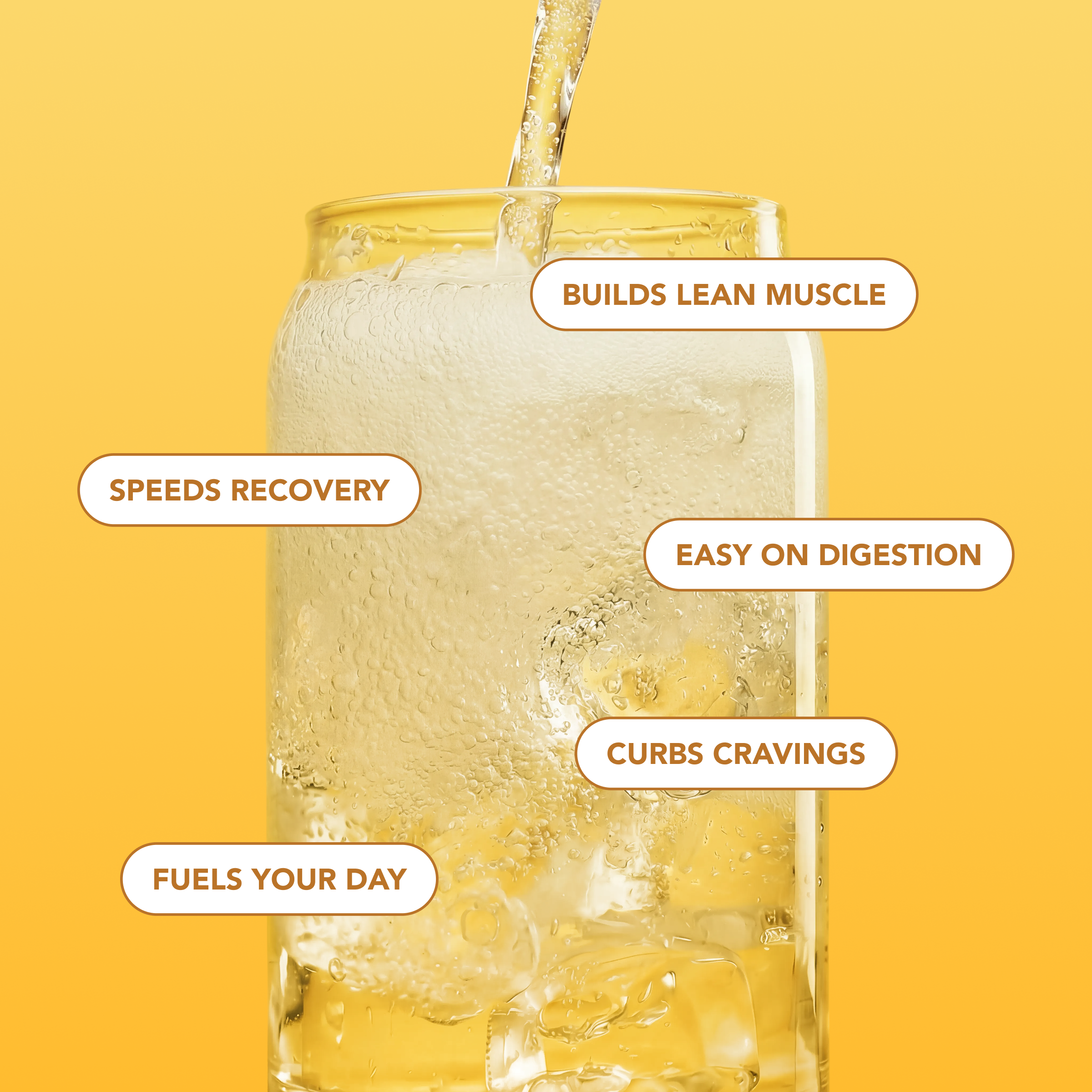 Clear Protein Soda: Frosted Lemonade (16 Oz. | 4 Pack)