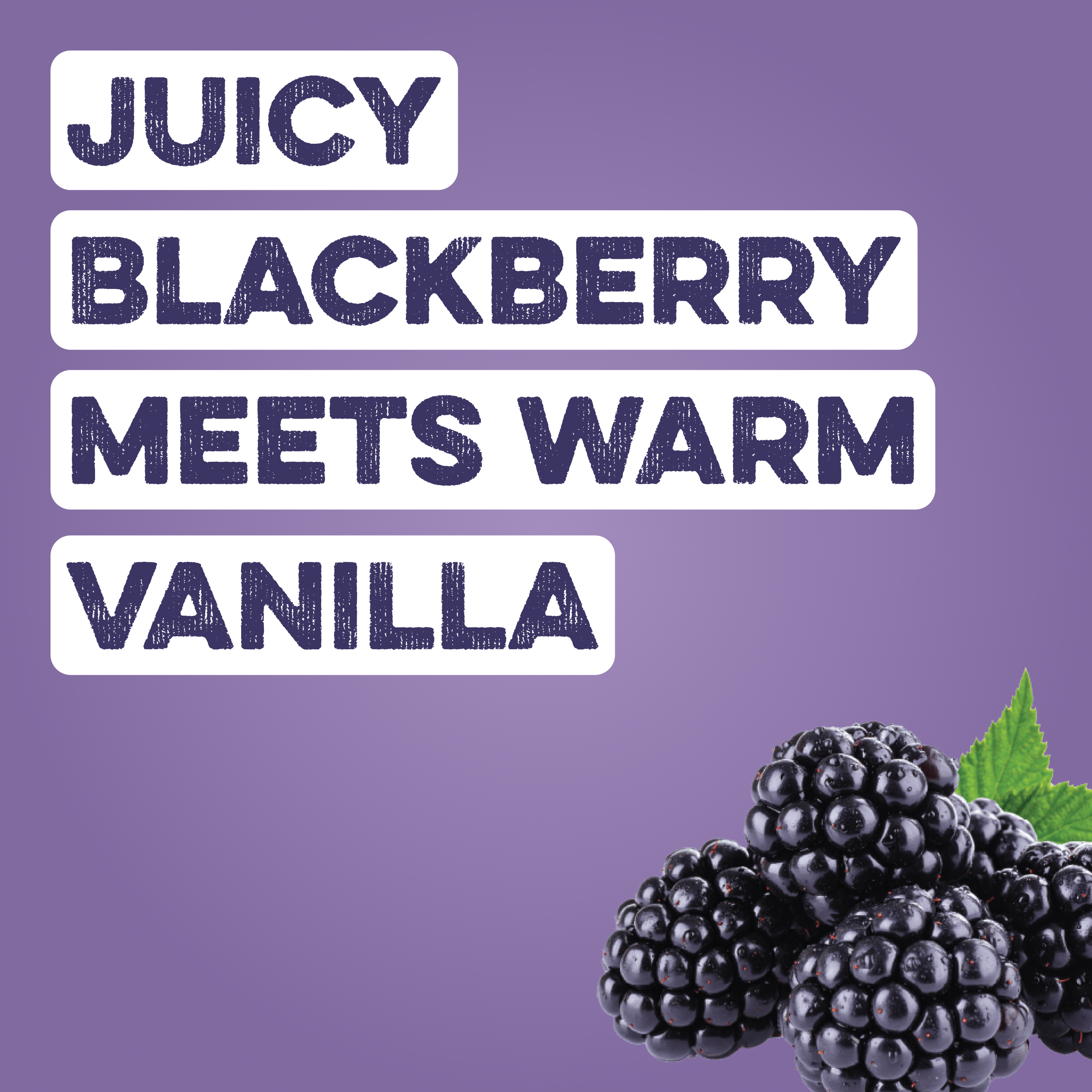 Clear Protein Water: Blackberry Vanilla (12 Oz. | 12 Pack)