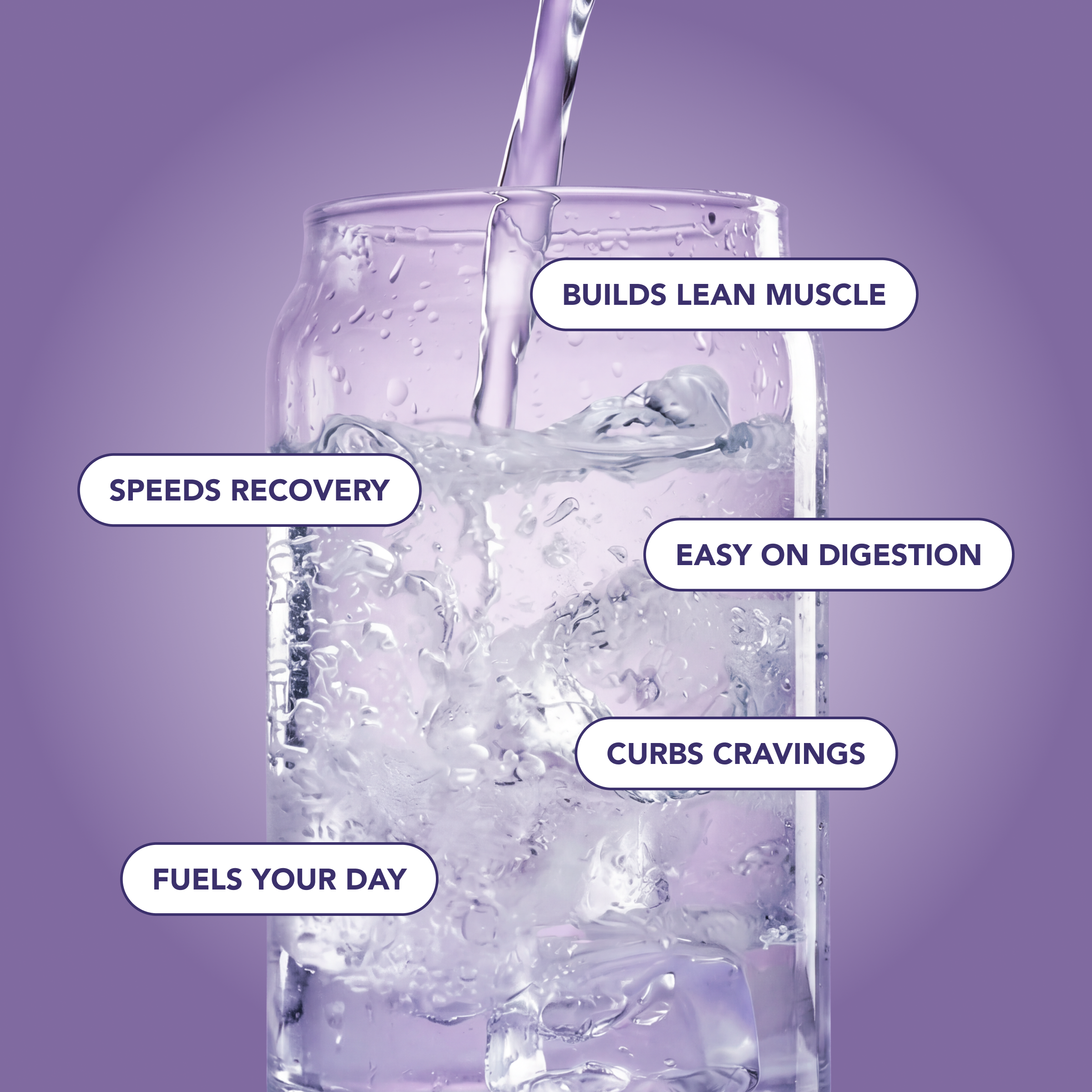 Clear Protein Water: Blackberry Vanilla (12 Oz. | 12 Pack)