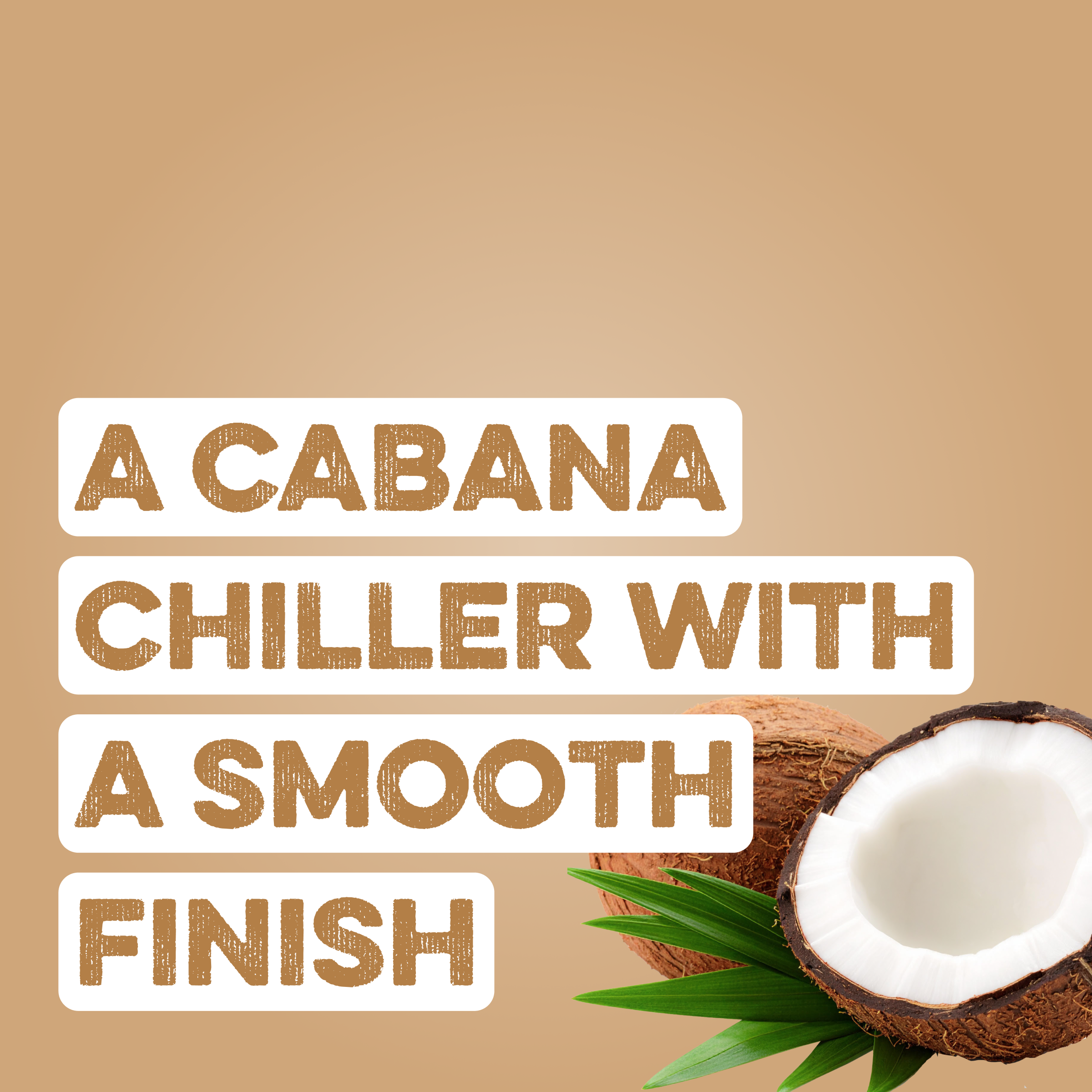 Clear Protein Water: Coconut Créme (16 Oz. | 12 Pack)