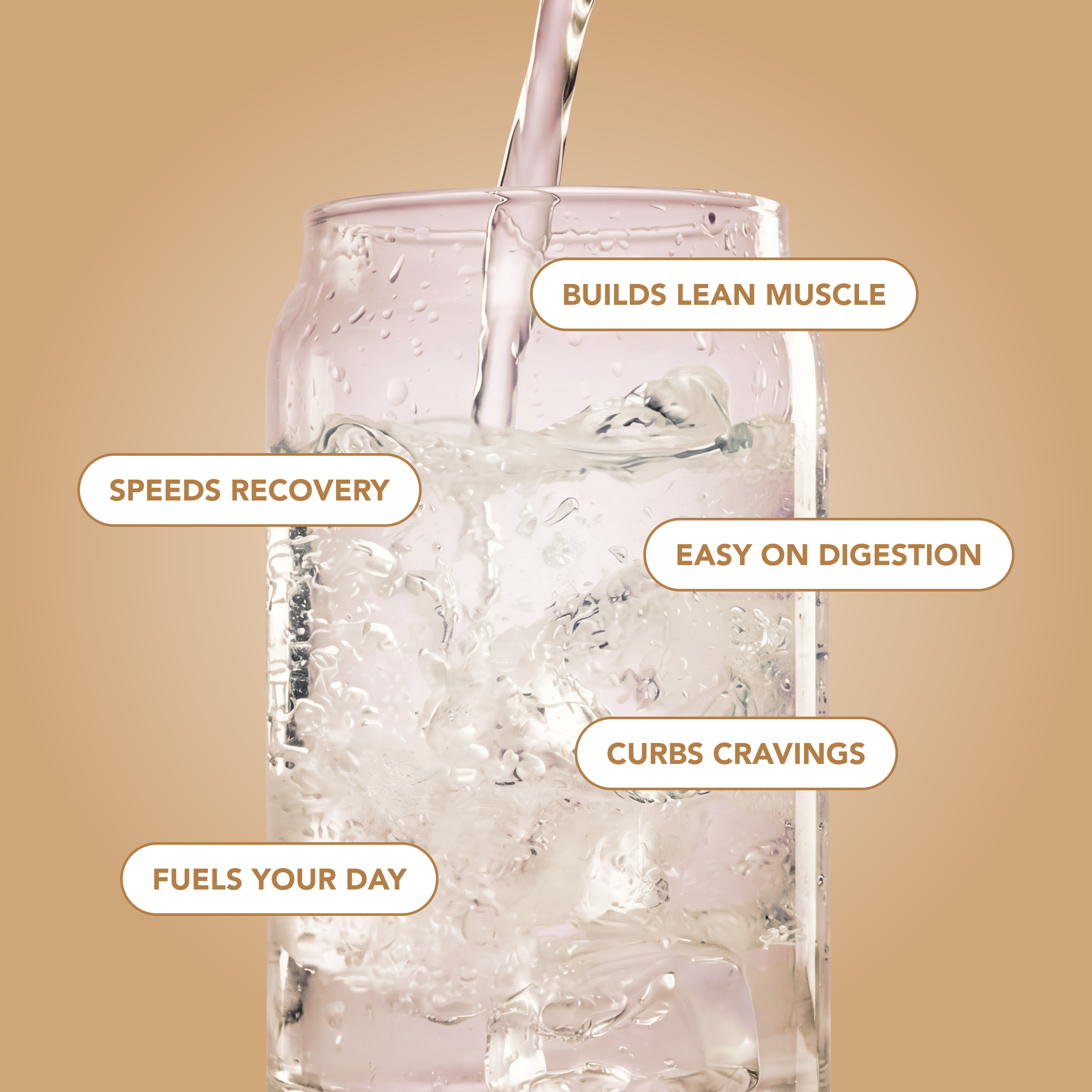Clear Protein Water: Coconut Créme (12 Oz. | 12 Pack)