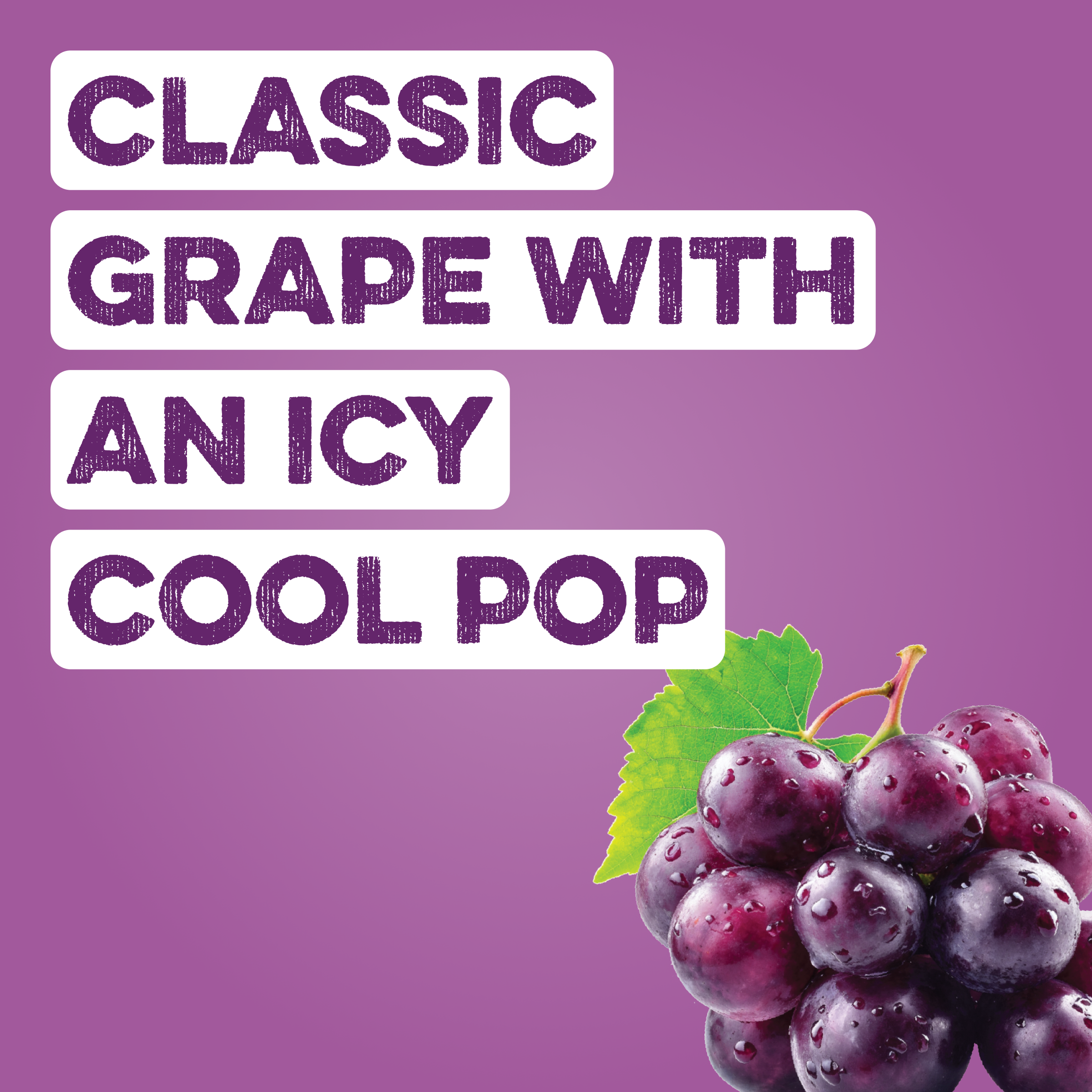 Clear Protein Soda: Grape Ice Pop (12 Oz. | 12 Pack)