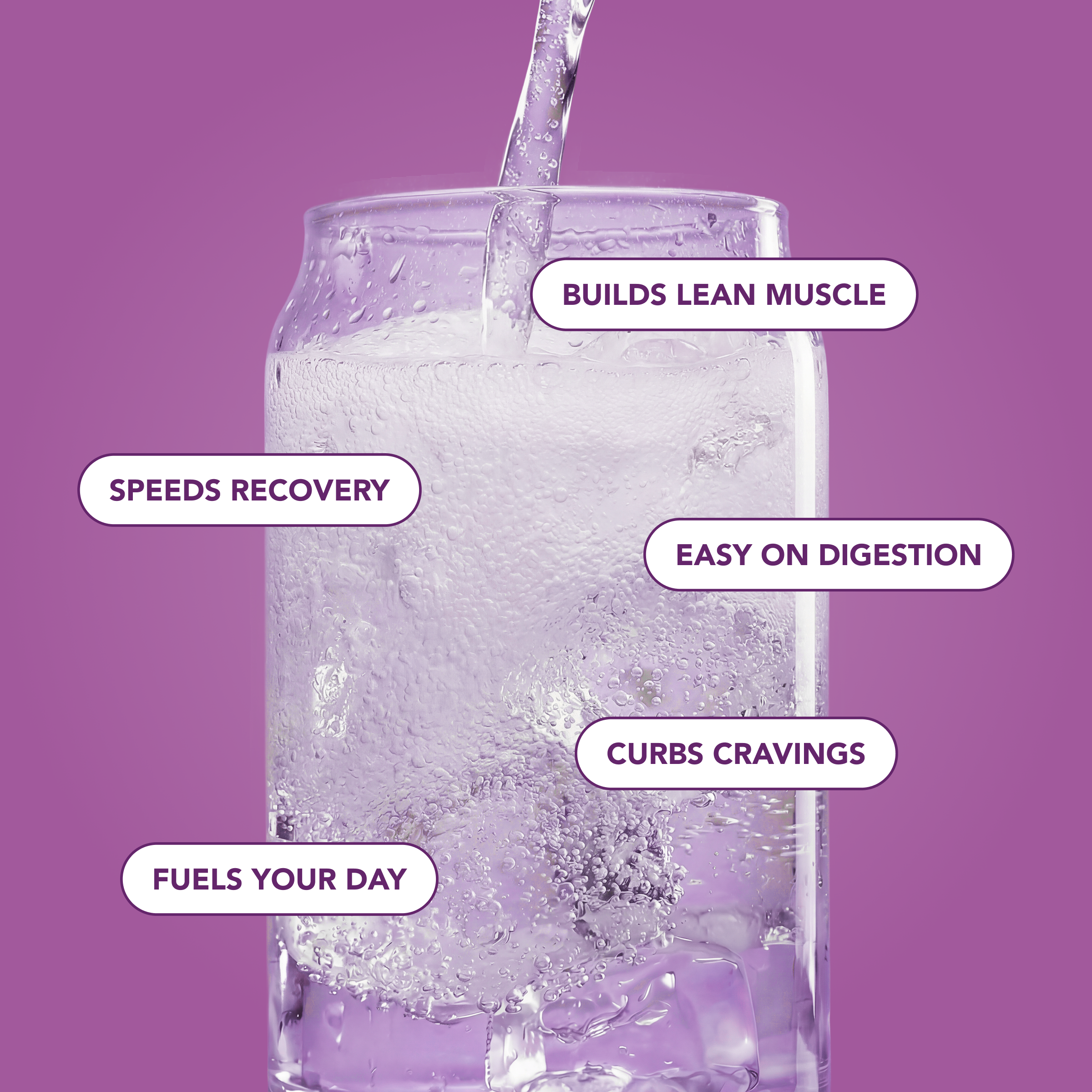 Clear Protein Soda: Grape Ice Pop (12 Oz. | 12 Pack)